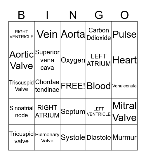 Cardiovascular System!  Bingo Card