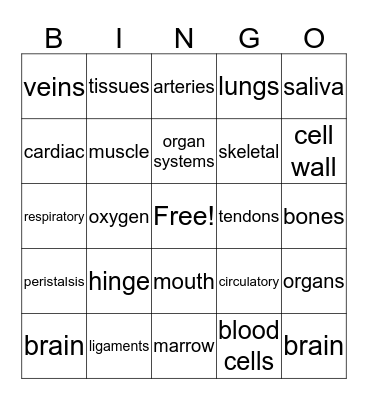 2nd 6 weeks  Bingo Card