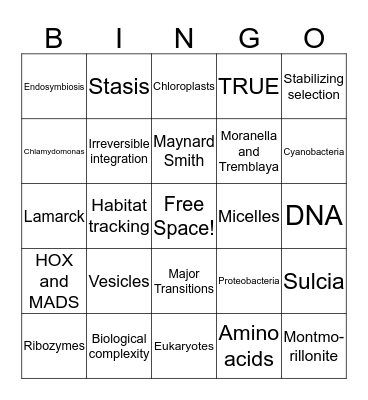 Major Transitions Bingo Card
