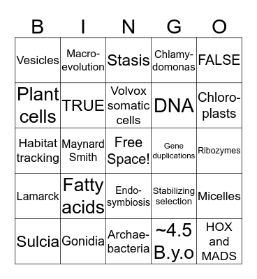 Major Transitions Bingo Card