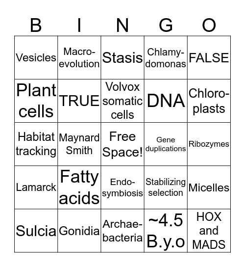 Major Transitions Bingo Card