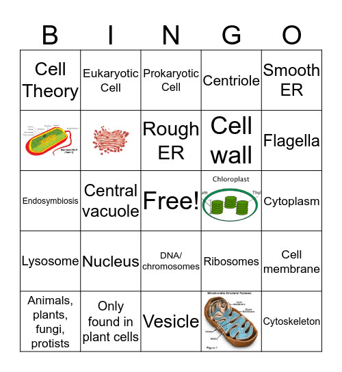 Intro to Cells BINGO Card