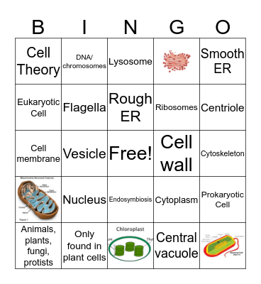 Intro to Cells BINGO Card