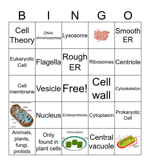 Intro to Cells BINGO Card