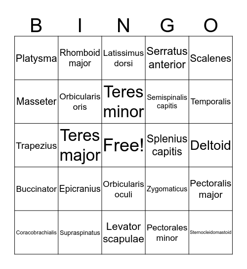 Muscle Bingo Card