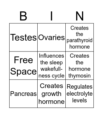 Endocrine System Bingo Card