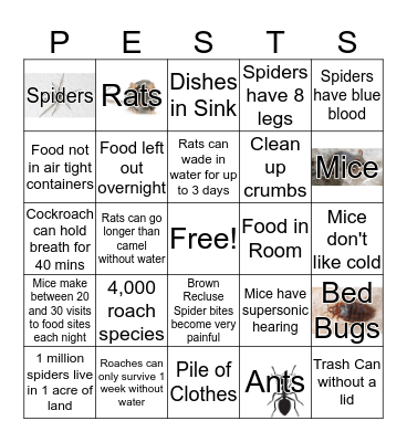 Keep Pests Away! Bingo Card