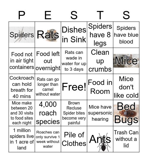 Keep Pests Away! Bingo Card