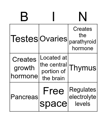 Endocrine System Bingo Card