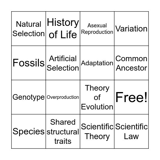 Life Over Time Bingo Card