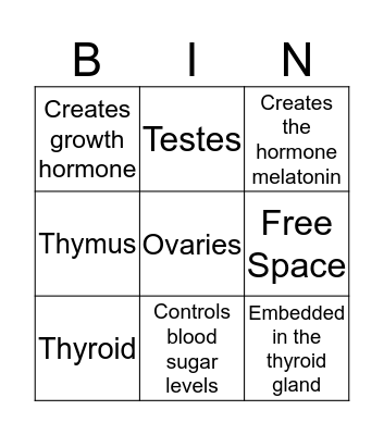 Endocrine System Bingo Card