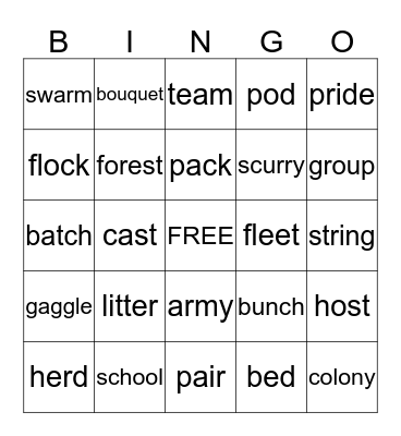 Collective Nouns Bingo Card