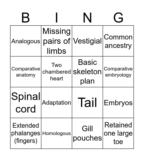 Comparative Anatomy and Embryology Bingo! Bingo Card