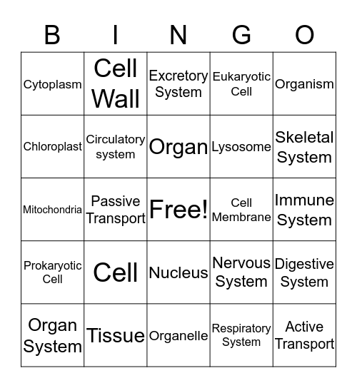 Cells to Organ Systems II Bingo Card
