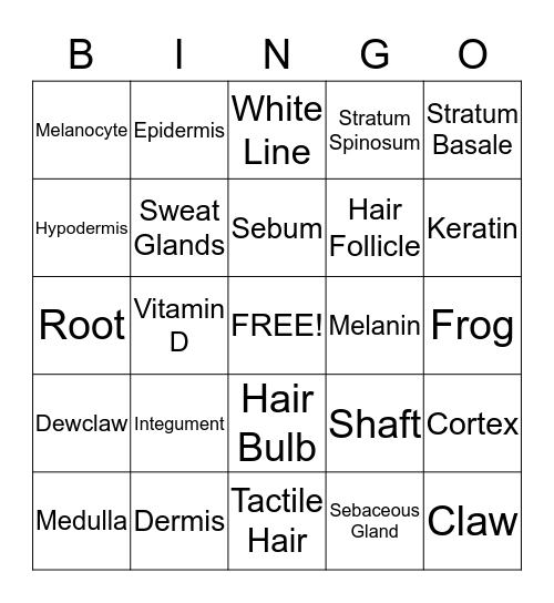 THE INTEGUMENTARY SYSTEM Bingo Card