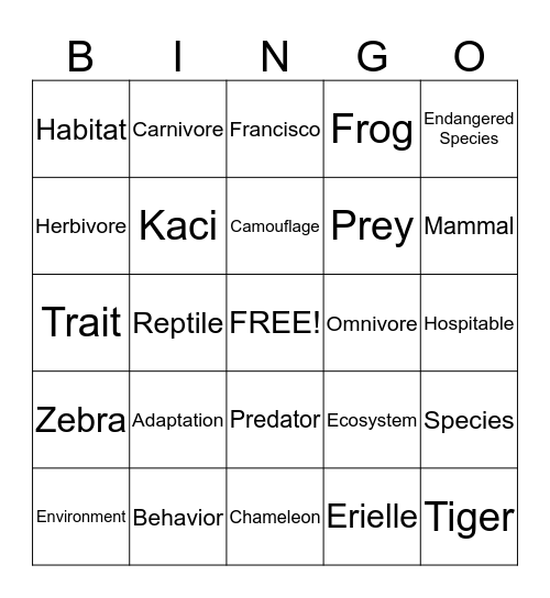 Adaptation Bingo Card