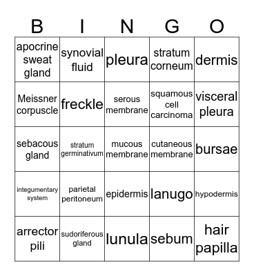Integumentary System Bingo Card