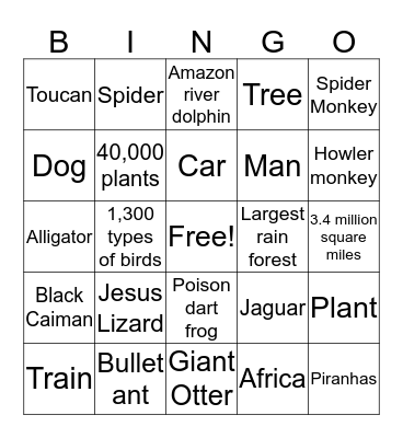Amazon Rain Forest  Bingo Card