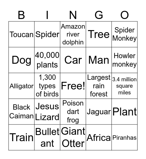 Amazon Rain Forest  Bingo Card