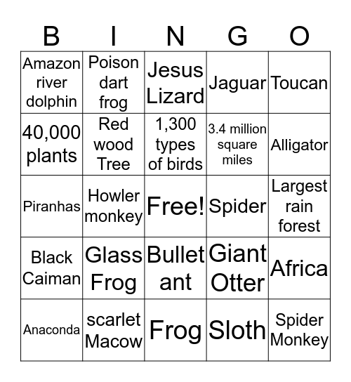 Amazon Rain Forest  Bingo Card