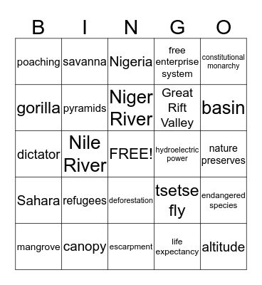 Africa Bingo Card