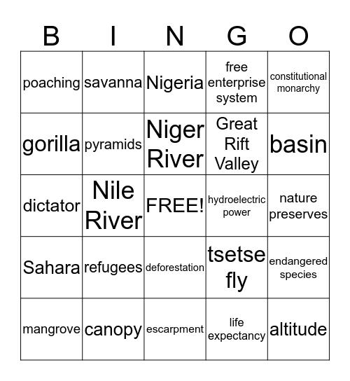 Africa Bingo Card