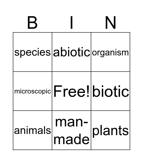 Bingo Card