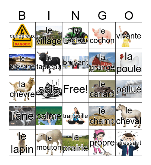 Chapitre 6 Bingo Card