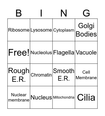 Animal Cell Bingo Card