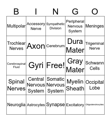 Nervous System Bingo Card