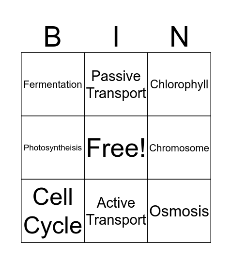 Cell Processes Bingo Card