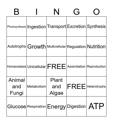 Bingo Card