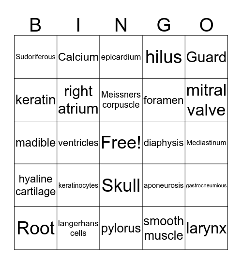 Midterm Review  Bingo Card