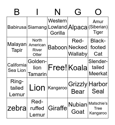 Zoo Mammal Bingo Card