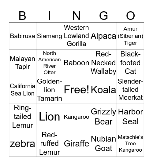 Zoo Mammal Bingo Card