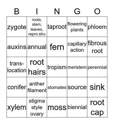 BIO PLANT STRUCTURE Bingo Card