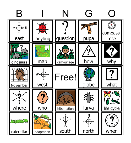 Vocabulary Bingo Card