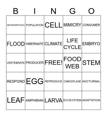 SCIENCE BINGO Card