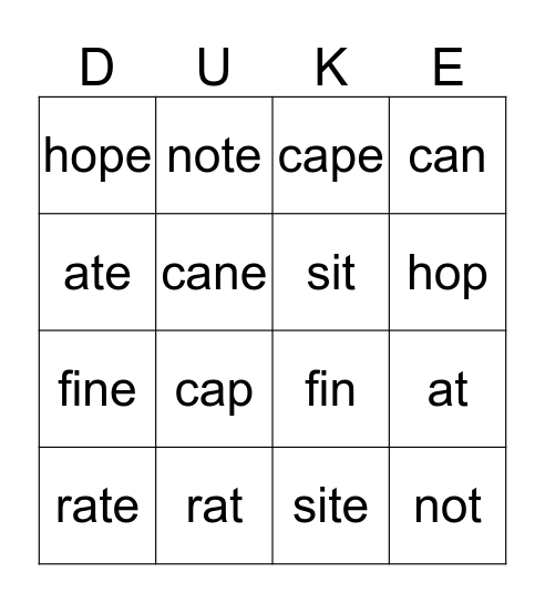 Final-e rule Bingo Card