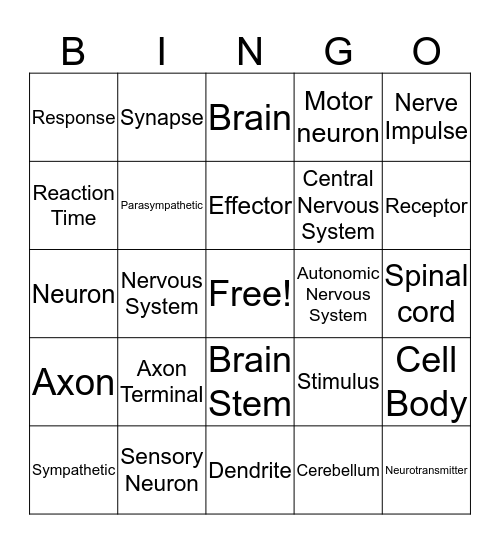 NERVOUS SYSTEM  Bingo Card