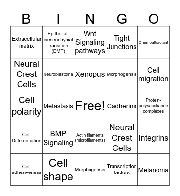 Neural Crest Cells Bingo Card