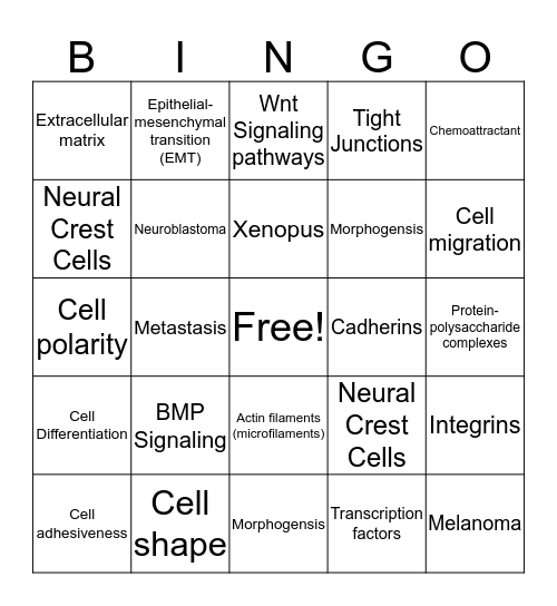Neural Crest Cells Bingo Card
