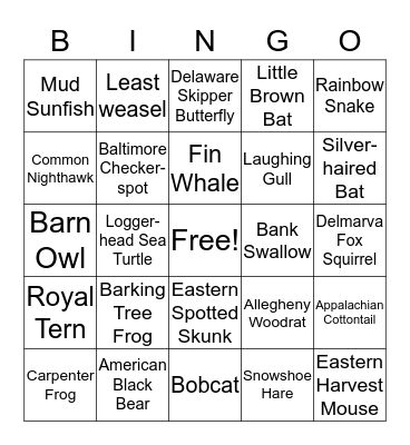Endangered Animals Bingo Card