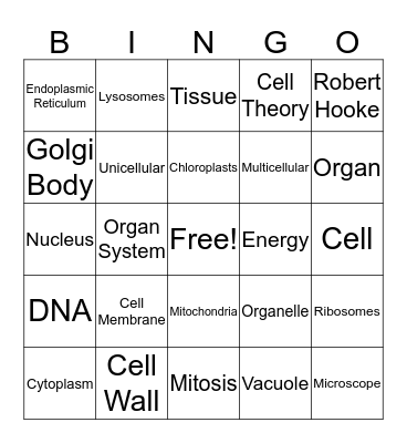Organelle Bingo  Bingo Card