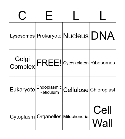 Cells and their Organelles Bingo Card