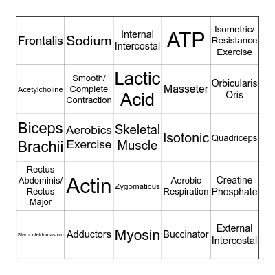 MUSCULAR SYSTEM Bingo Card