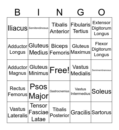 Muscle List 3 Bingo Card