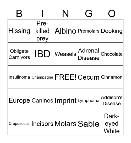 FERRETS!!!!!!!!! Bingo Card