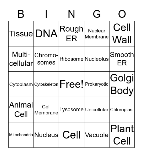 Cell Organelles Bingo Card