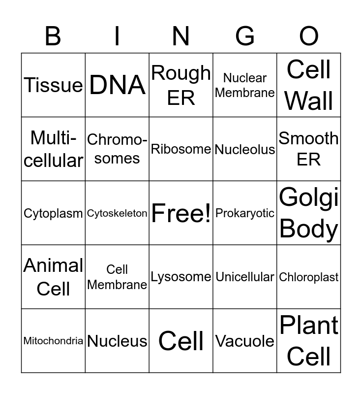 Cell Organelles Bingo Card